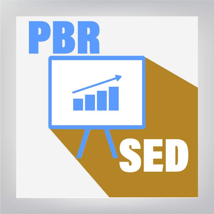 Avance en la Implementación del PbR-SED en el Estado de Puebla. Diagnóstico 2020