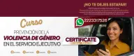 Curso: Prevención de la Violencia de Género en el Servicio Ejecutivo